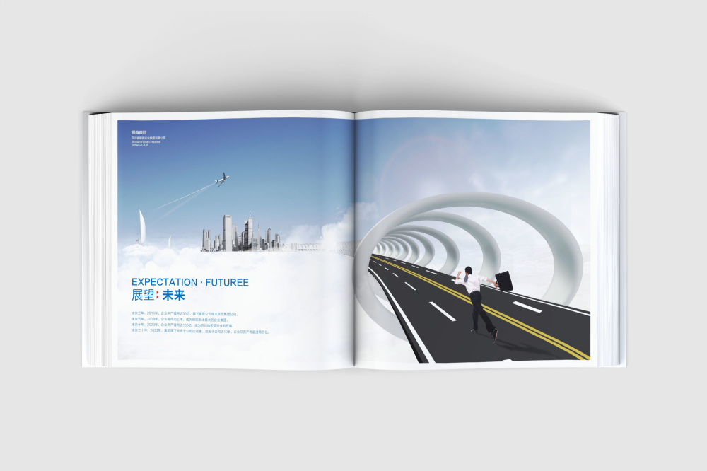 康保县画册设计